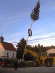 Aufstellen des Maibaum in Arlesberg 2010
