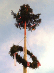 Aufstellen des Maibaum in Arlesberg 2010